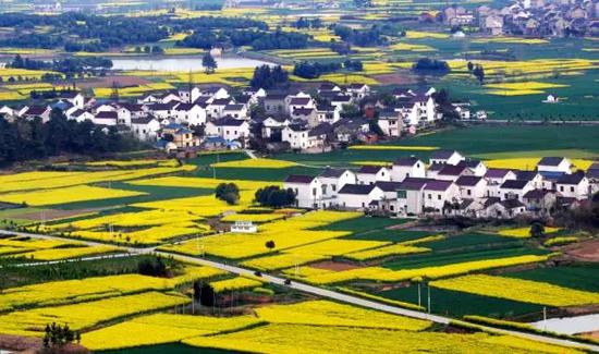 賀：江蘇南京高淳鴻福祥布鞋